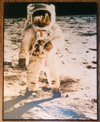 NASA Man on the Moon Laminated Photo Early 1990s #CIP1011A EX+