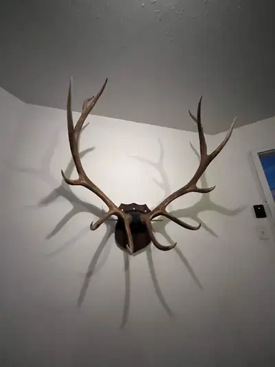 Elk Mount, View more