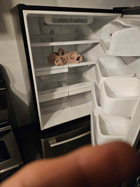 LG Refrigerator 30"