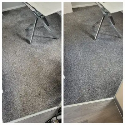 Carpet & Sofa Cleaner, View more