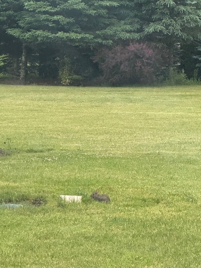 Basement for rent Short Term Rentals Guelph Kijiji