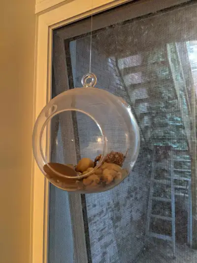 Boule de verre terrarium pour plante, View more