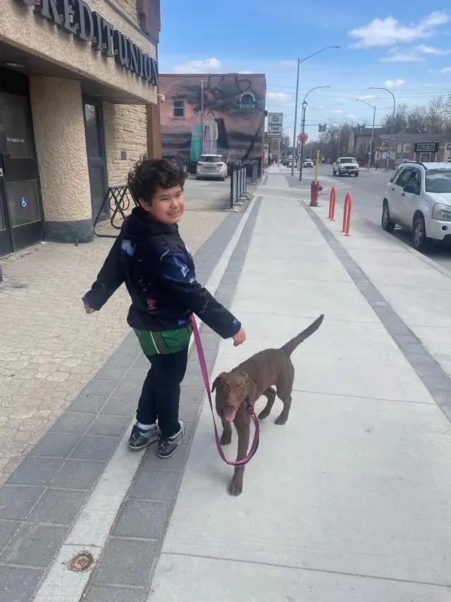 Need gone by end of the month or your best offer in Dogs & Puppies for Rehoming in Winnipeg - Image 8
