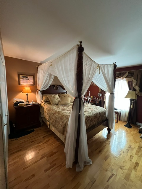 High-Quality Canopy Bed
