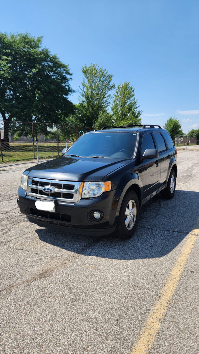 2011 Ford Escape XLT FWD in Cars & Trucks in Mississauga / Peel Region