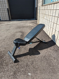 Northern Light Folding Weight Workout Bench gym exercise