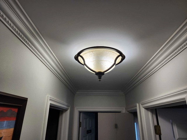 Ceiling light in Indoor Lighting & Fans in Saint John