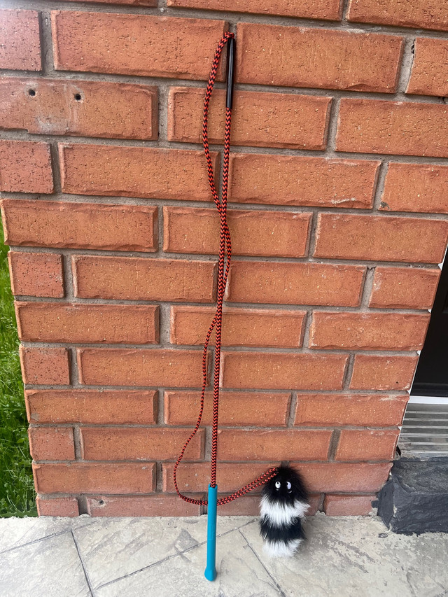 Large Dog/Cat Stick Toy in Accessories in Oshawa / Durham Region