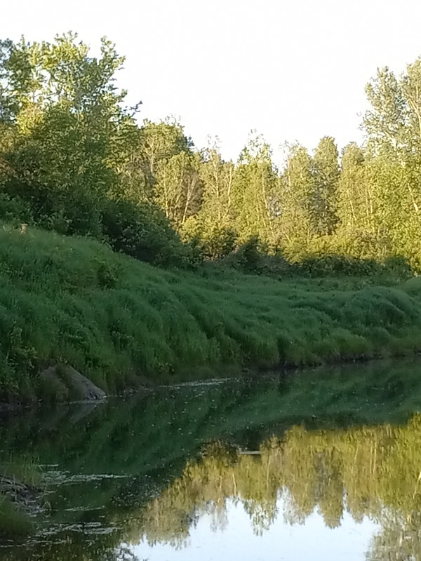 7 Acres along the Canaan River Land for Sale Saint John Kijiji