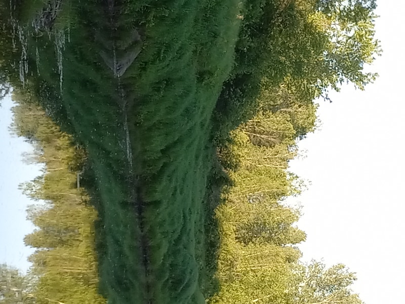 7 Acres along the Canaan River Land for Sale Saint John Kijiji