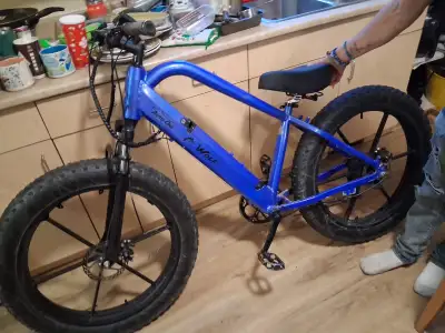 Wolf Ebike, View more