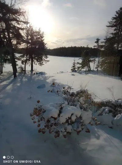 House for rent on mack lake east Dalhousie. Looking for a quiet reter no parties. Utilities not incl...