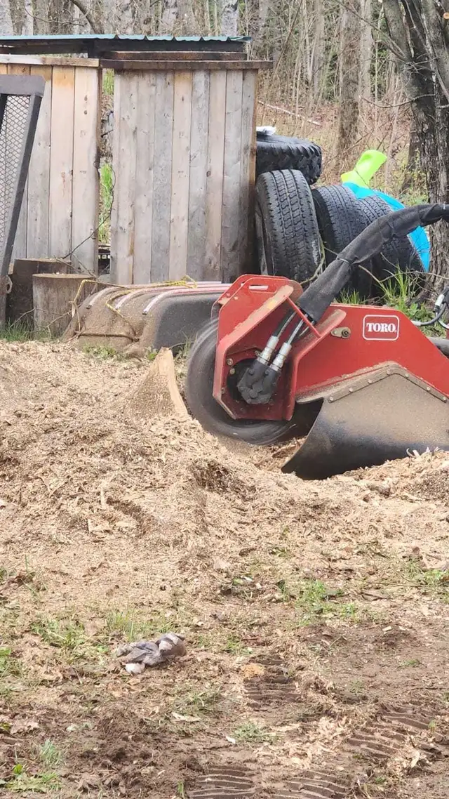 Stump Removal475477991322429442