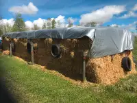 Small Square Wheat Straw Bales