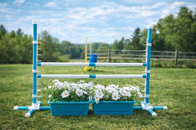 Sauts d'agilité / Agility Jumps, View more