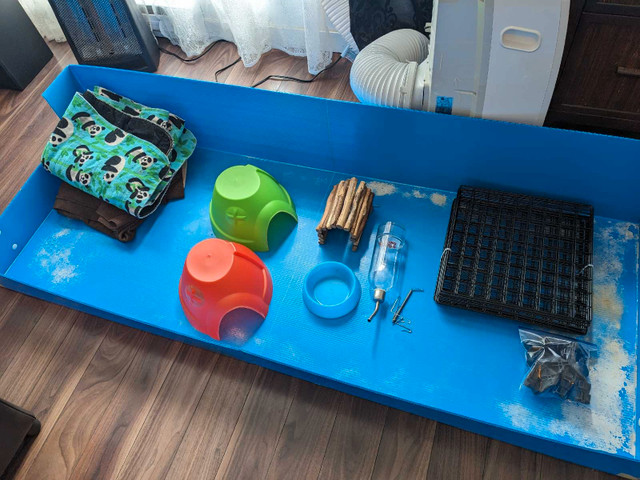 Guinea pig cage + supplies in Accessories in Abbotsford
