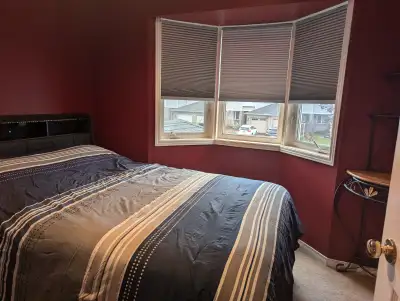 Cute room for rent in Orleans with full access to the kitchen, laundry, washrooms, etc with exclusiv...