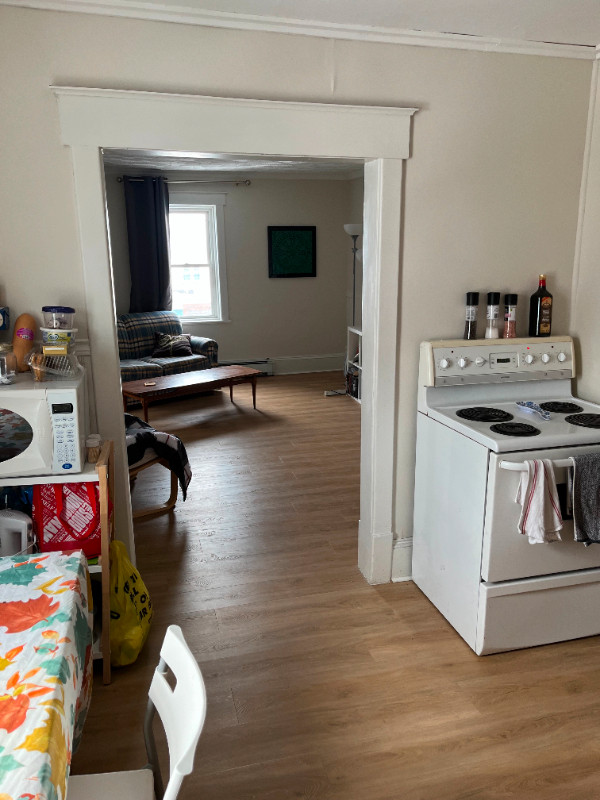 Looking for a mature female roommate in Room Rentals & Roommates in North Bay - Image 2