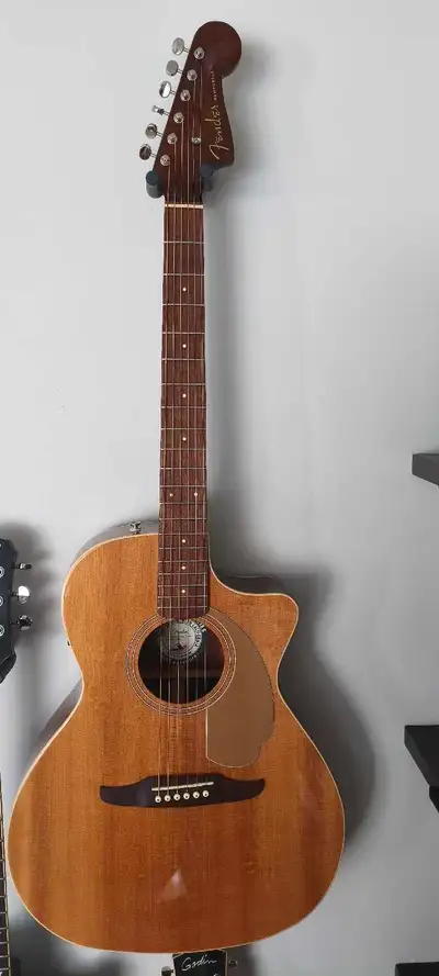 Guitare Fender Newporter Player, View more