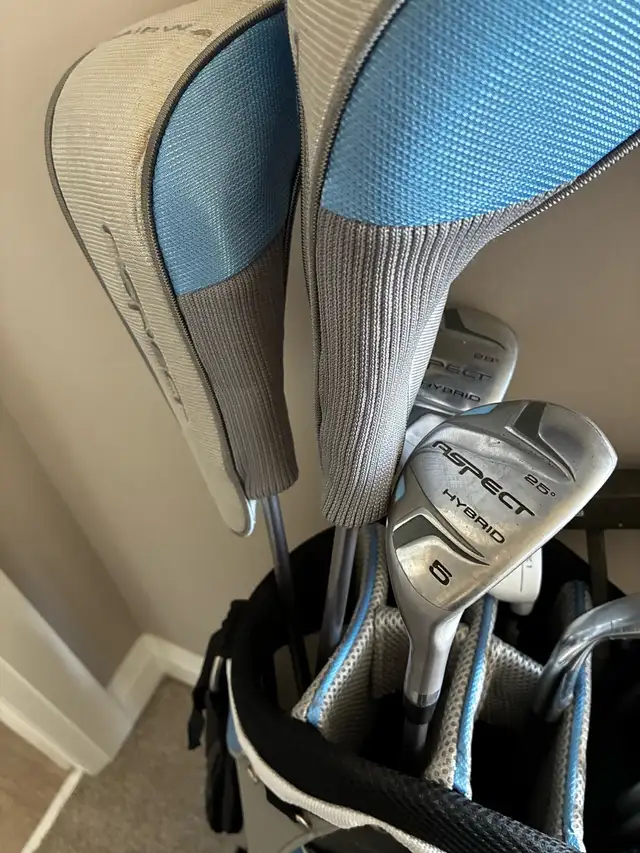 Golf clubs604581747617976324