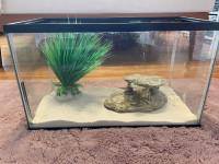  fish tank 