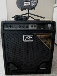 Peavey Bass Amplifier ..  112 Bass Amp .. 35 Watts .. Exc Cond