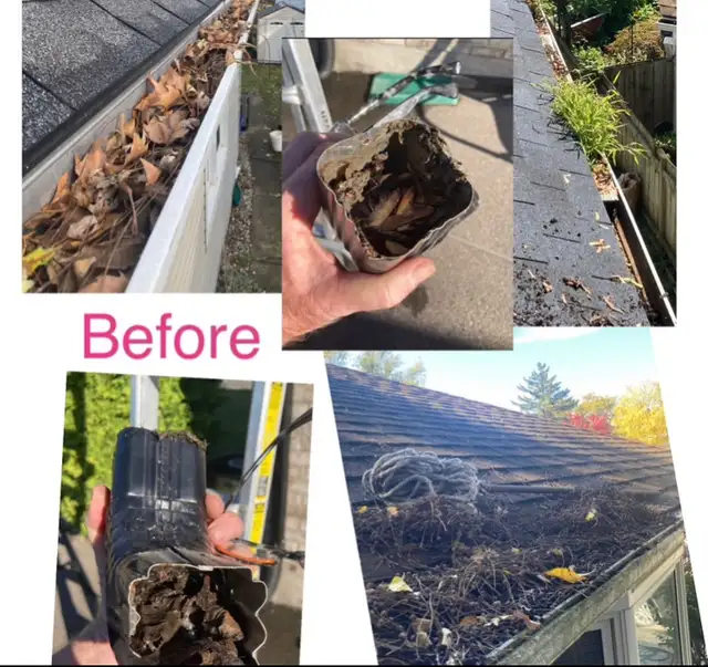 Gutter Cleaning / Eavestrough Cleaning62864355178369121