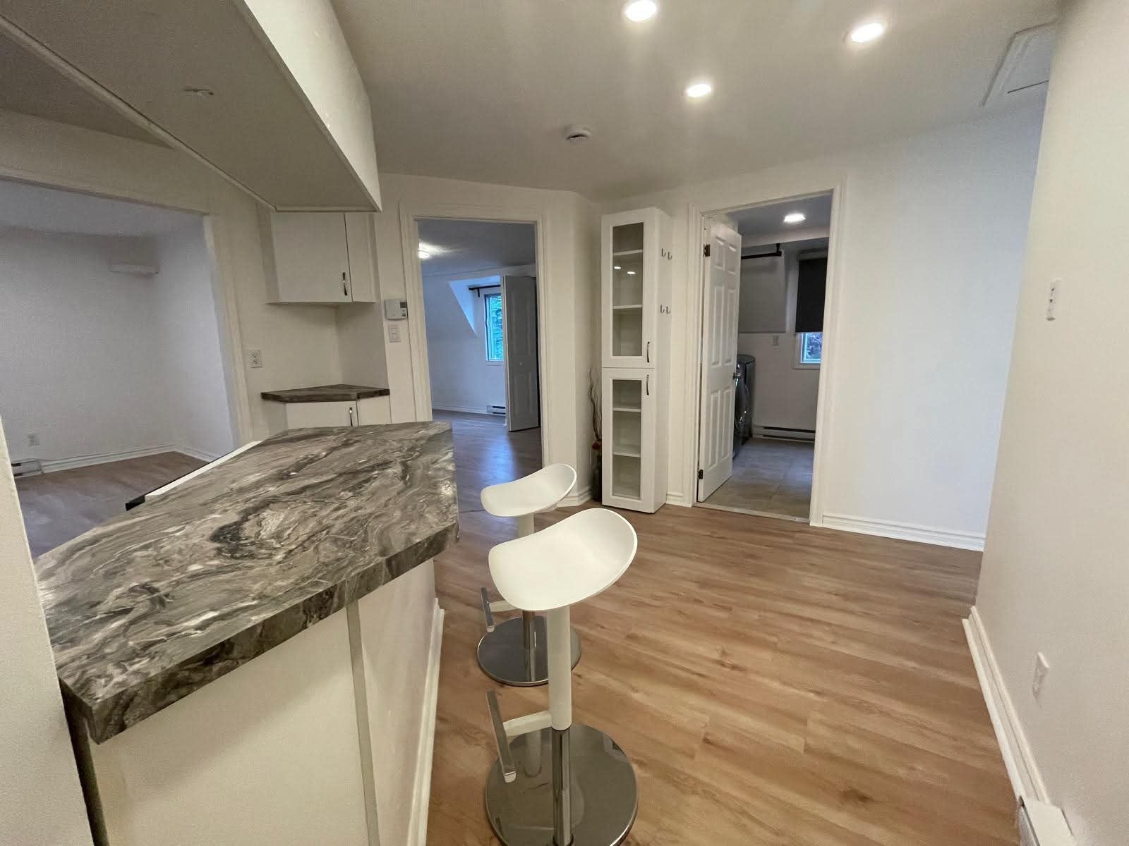 Grand 4 ½ condo – Lave-Vaisselle – Thermopompe – Cour-1er Août — photo 2