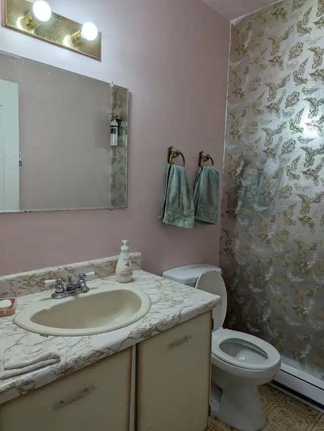 June 11-July 31 sublet - Furnished Bedroom near UVic $850 in Room Rentals & Roommates in Victoria - Image 5