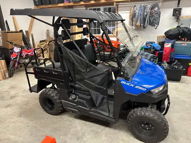 Massimo Buck 250 X 4 seat side by side sxs in ATVs in Muskoka - Image 2