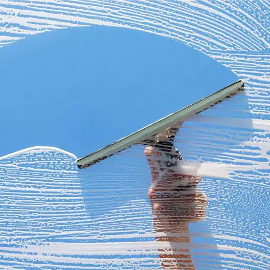 Residential Window Cleaning
