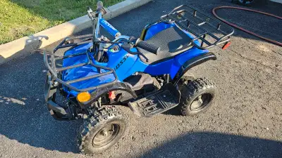 Rosso eQuad X Blue Electric 4-Wheeler https://rossomotors.ca/products/equad-x-navy-blue Navy blue el...
