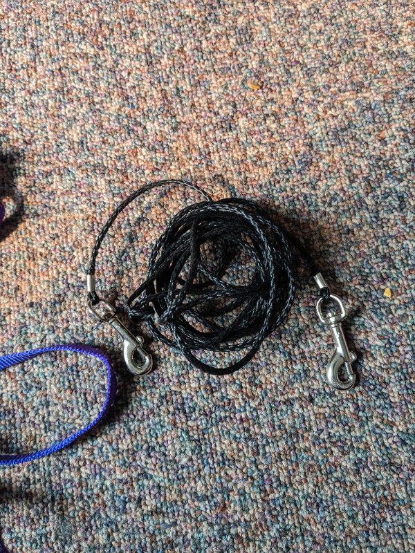 Two cat leashes or small dog and a cat caller in Accessories in Saskatoon - Image 2