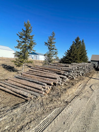 Firewood logs 
