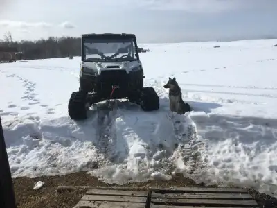Front and back Camoplast Tracks for Polaris Ranger Full Size. Tracks were installed once with less t...