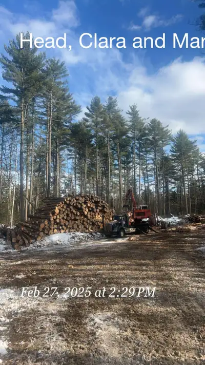 Slasher operator , View more