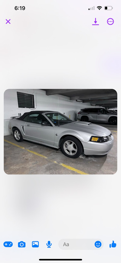 2004 ford mustang 