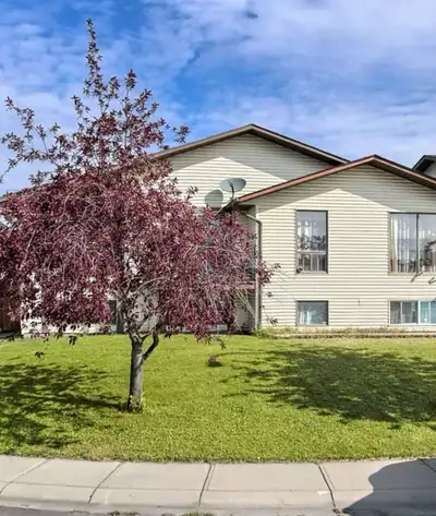 $600 + DD. Call for more information. Located in Falconridge