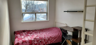 I have a furnished bedroom available in a clean and quiet home in the heart of Corso Italia (Dufferi...