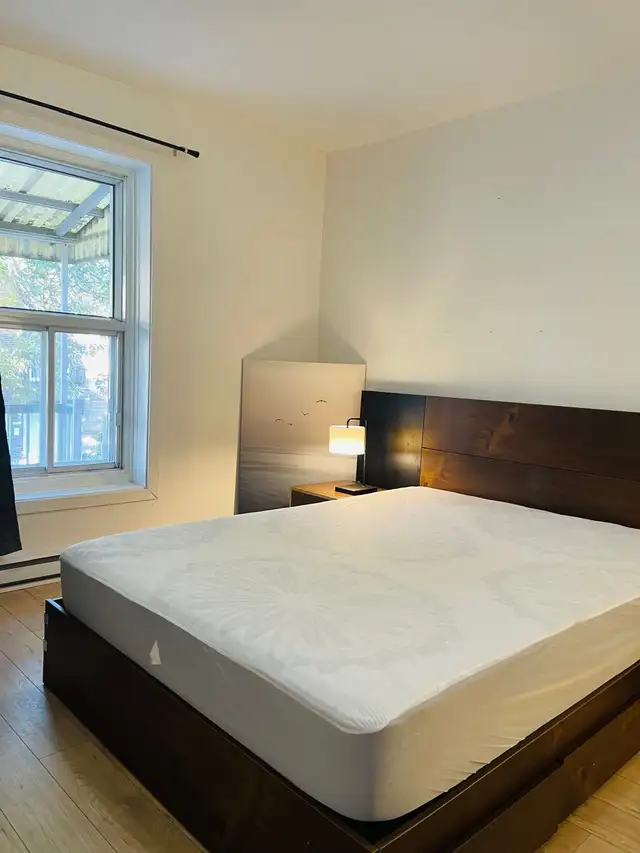 Bright Furnished Room - Downtown / Metro-$900-Short Term/Month