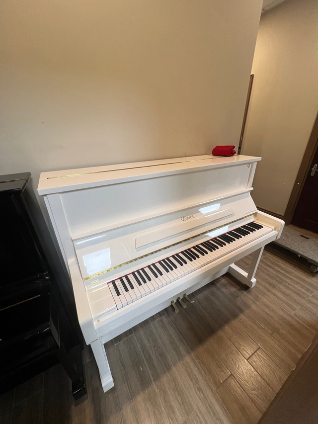 2017 Steinway’s series (Essex) Upright Piano in Pianos & Keyboards in Markham / York Region