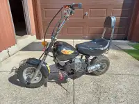 Mini Bike, just Serviced, Runs Great, Can Deliver