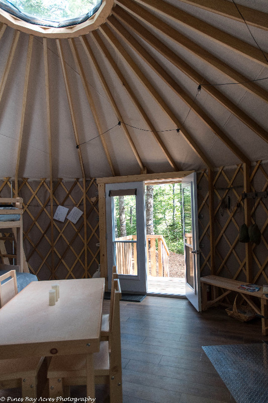 Wintergreen, the delightful cozy off-grid yurt in Nova Scotia - Image 4