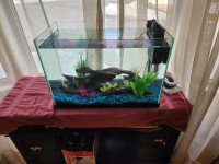 Glass Fish Tank 20 Gallons with Extras
