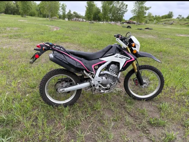 Honda CRF250 in Dirt Bikes & Motocross in Ottawa - Image 4