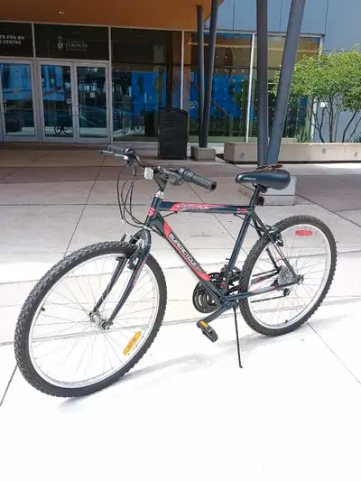  This Bike Should NOT Be $120 (But It Is), View more