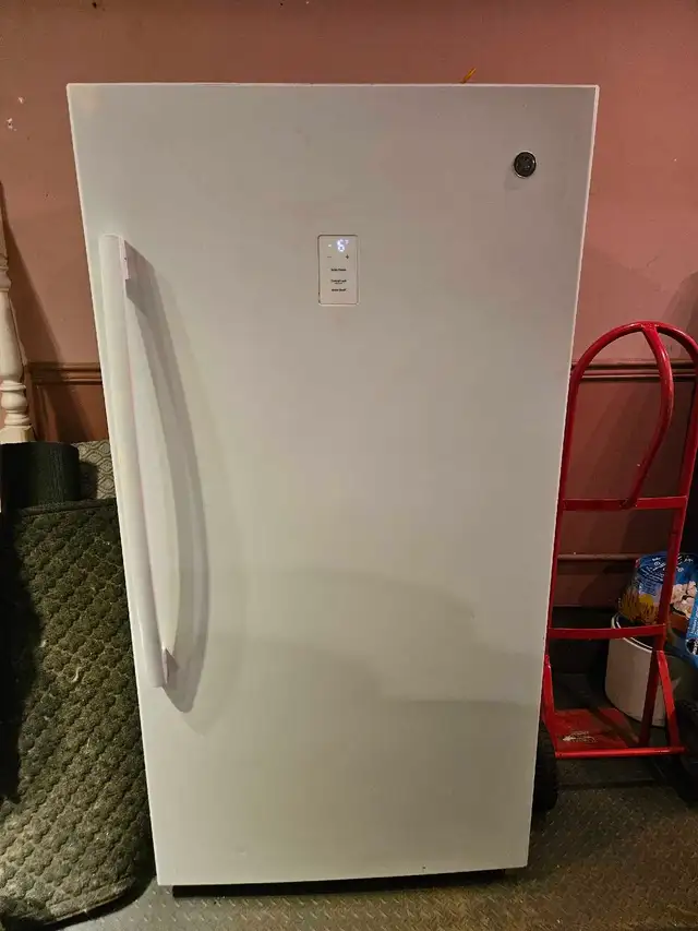 GE 17.3 cu. Ft. Upright Freezer - installed new evaporator fan
