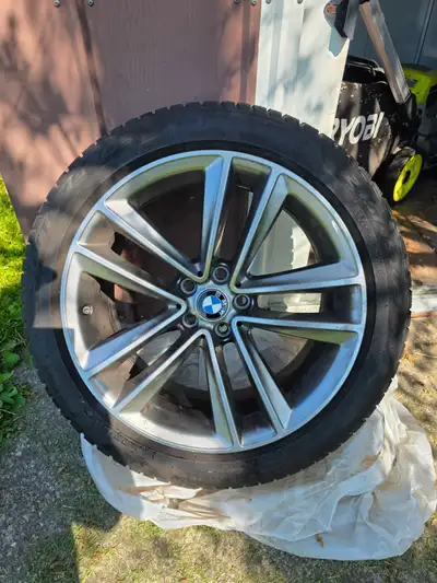 Great winter tires and rims hardly used. Late Brother in laws tires. Just need some extra cash and h...