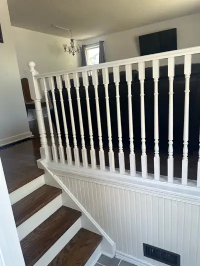 room for rent Scarborough house