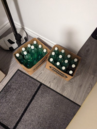Free plastic bottles for beer making